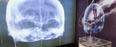 Ob ins Museum, in die Bibliothek oder gar ins Puppentheater gehen. Das geht in Münster und dem Münsterland nun virtuell.